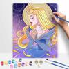 Disney Oil Painting Art Painting Set Princess Aurora Home Wall Decor Handmade Gift Magical Night Sky Constellation 129