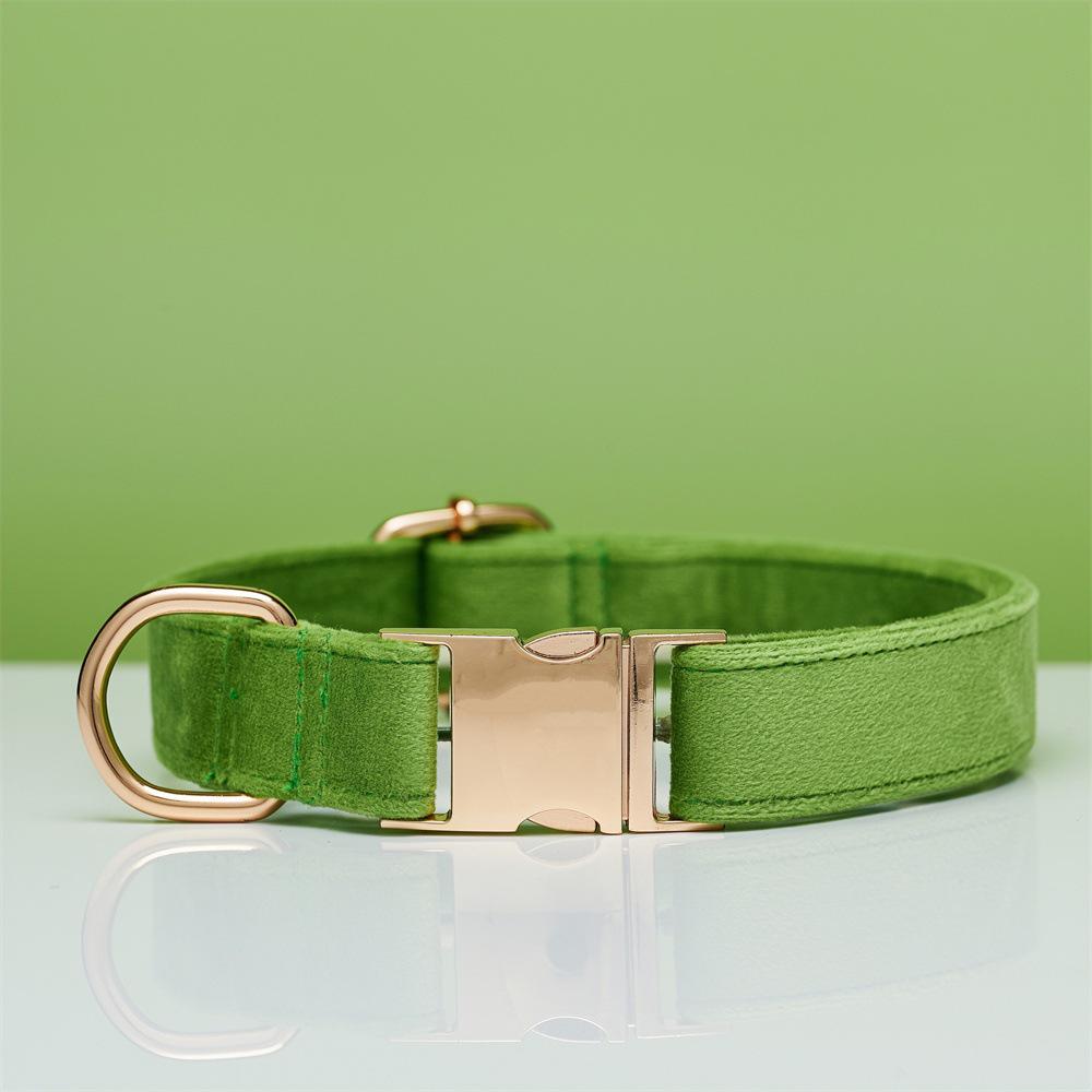Ensemble collier et laisse pour chien en velours gravé avec boucle métallique réglable