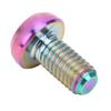 12 peças RISCO Parafusos de rotor de freio a disco de bicicleta M5x10mm T25 Liga de titânio Parafuso de disco de freio de bicicleta