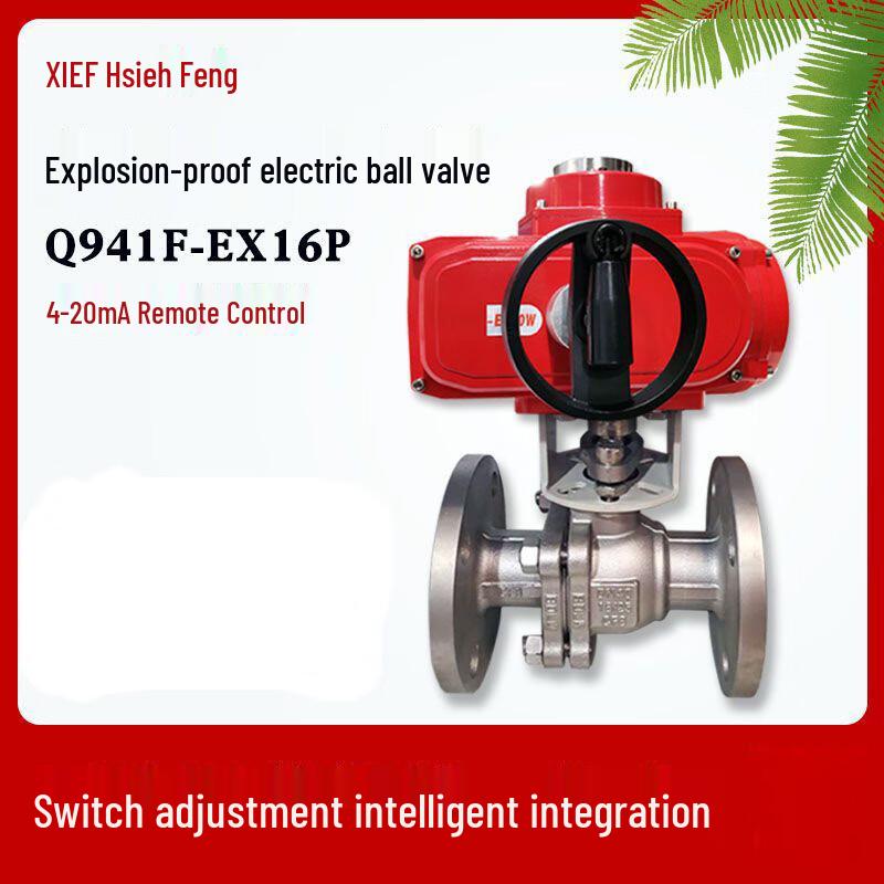 Kalei Explosion-Proof Electric Flanged Ball Valve CN plug (adapter included)
