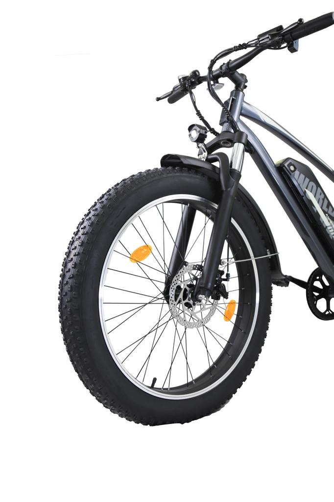 AVDL A35 E-Bike Elettrica da Neve Fuoristrada per Adulti 250W Batteria 48V15.6Ah Ruote Fat da 26 Pollici E-Bike da Montagna per Ciclismo Fuoristrada all'Aperto