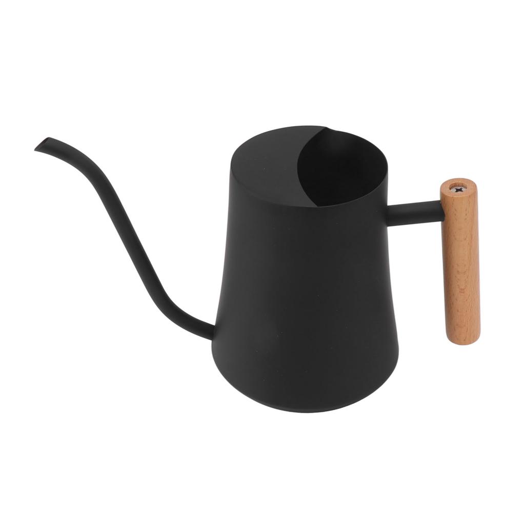 Stainless Steel Watering Can Pot Retro Small Plant Watering Can with Wooden Handle for Indoor Outdoor 1000ML