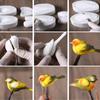 Bird Shape Silicone Mold Kitchen DIY Cake Baking Decoration Biscuit Candy Chocolate Mold 3D Plaster Clay Plasticine Tool