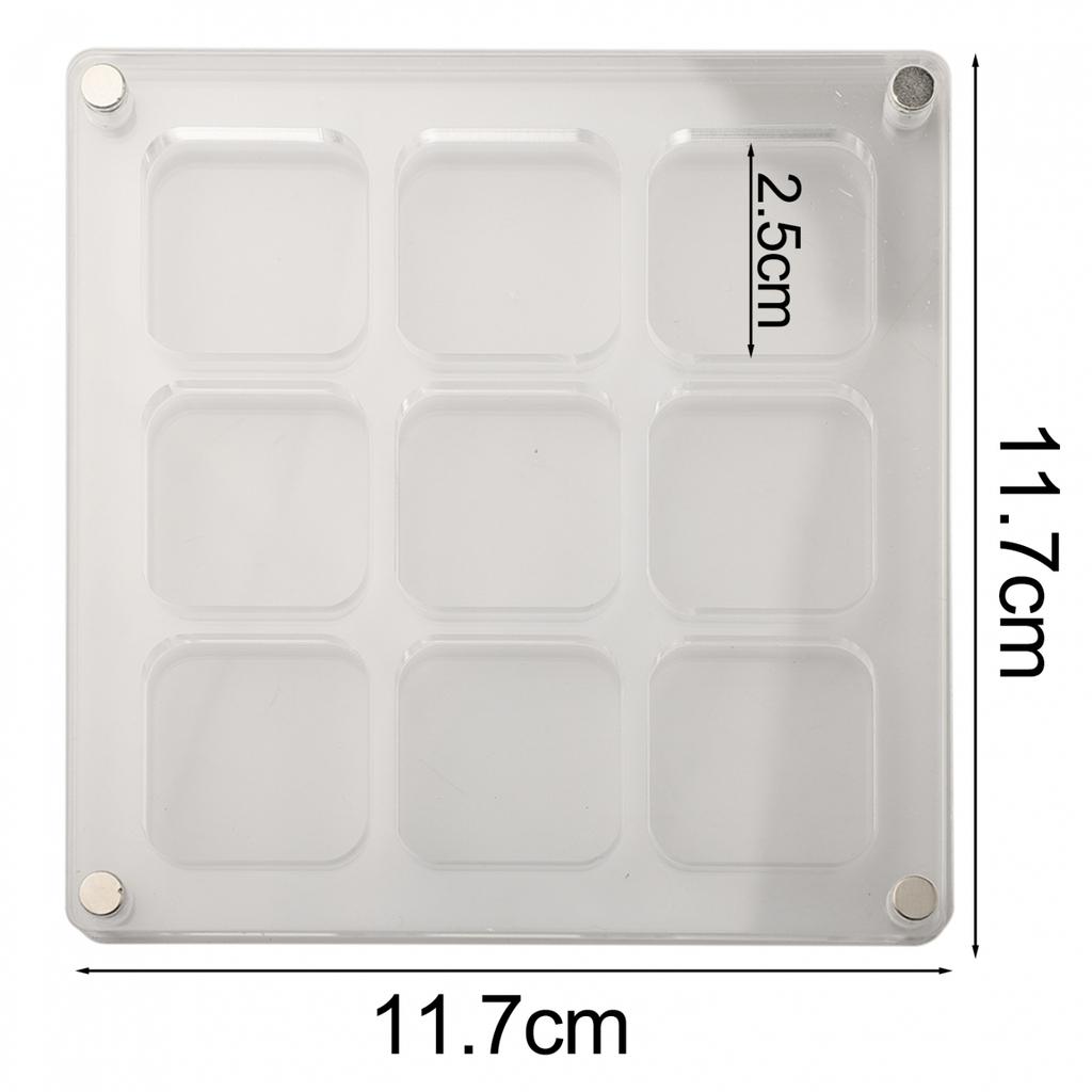 Transparent Mini Shell Storage Solution in Acrylic Material