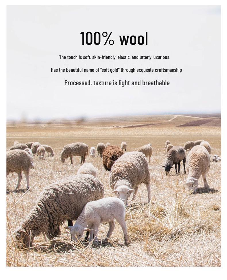 Men's Thick Half-High Collar Wool Sweater - Casual Loose Fit, 100% Pure Wool, Long Sleeve Pullover for Autumn & Winter