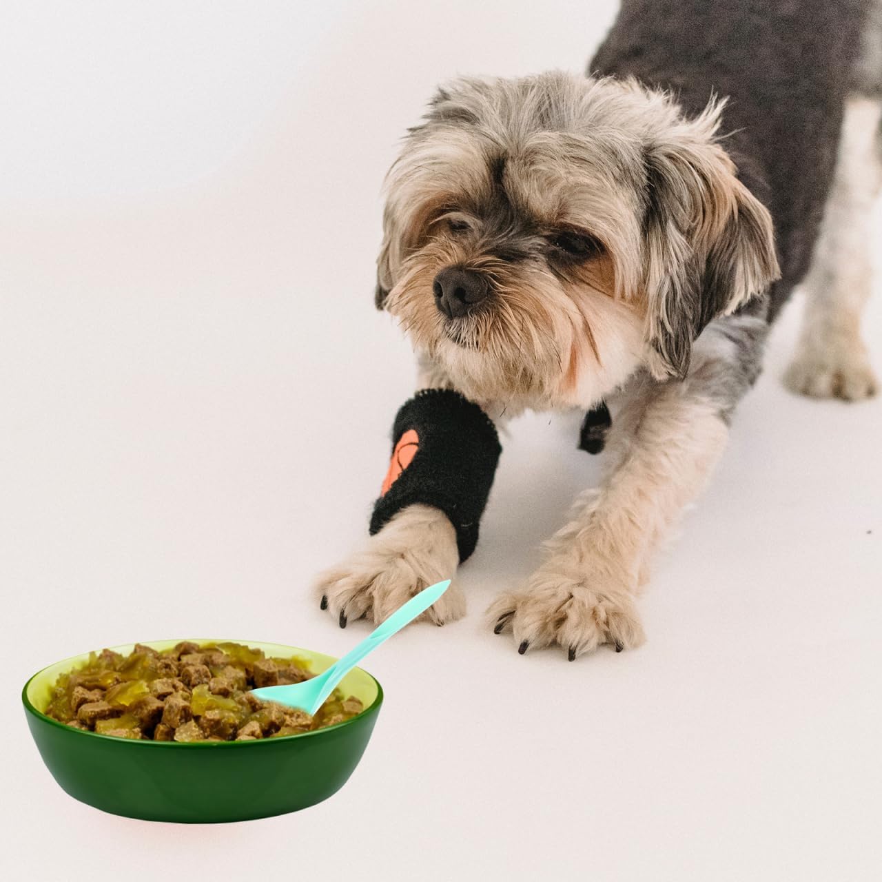 POPETPOP 8 Pcs Cat Can Spoon Pet Stirring Spoon Household Mixing Spoon Convenient Food Spoon Household Can Spoon Multi-function Food Spoon