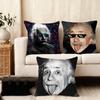 Physics E-Einsteines Cushion Cover Soft Plush Fabric Double-Sided Printed Sofa Cushion Cover For All Seasons Home Decor Gift
