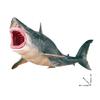 25.5cm Megalodon Shark PVC Toy Ancient Ocean Sea Fish Animal Figure Kids Gift