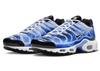 Air Max Plus Light Photography Old Royal