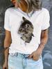 Casual Every Day Tops Womens Clothing Cute Cat Print TShirt Crew Neck Short Sleeve TShirt
