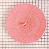 Korean-Style Autumn/Winter Women's Wool Beret