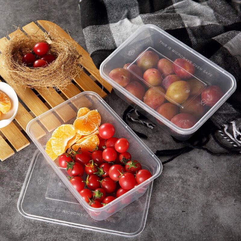 AVADEN Disposable Transparent Square Food Container