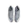 Air Jordan 12 Retro 'Stealth' Jordan CT8013-015