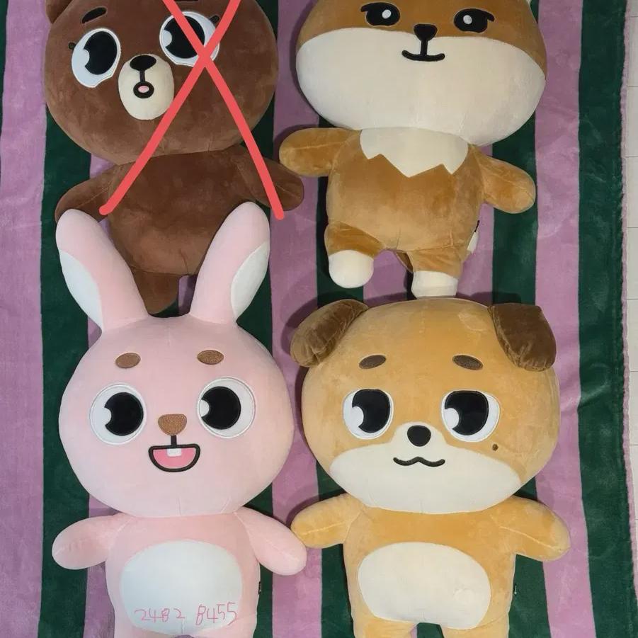 

Day6 Merchandise Sale - Giant Denimals *includes Polar Photocard