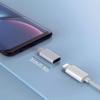 1er Set, Lightning Buchse auf USB C Stecker Adapter, Geeignet zum Laden und zur Datenübertragung