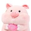 Fluffy Pig Holding Lollipop Plush Toys PP Cotton Stuffed Pig Plushie Doll  Birthday Parties