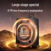 SAST ST-1001 Outdoor Karaoke Speaker CN plug (adapter included)