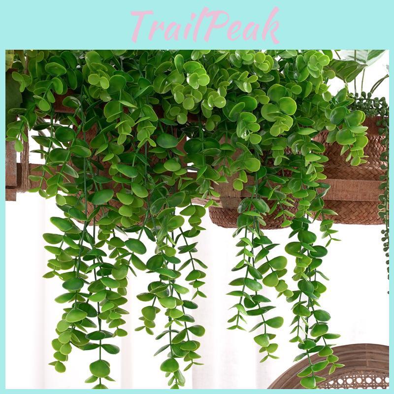 Plastic Eucalyptus Leaf Citriodora For Living Room Photo Backgrounds Wall Decor