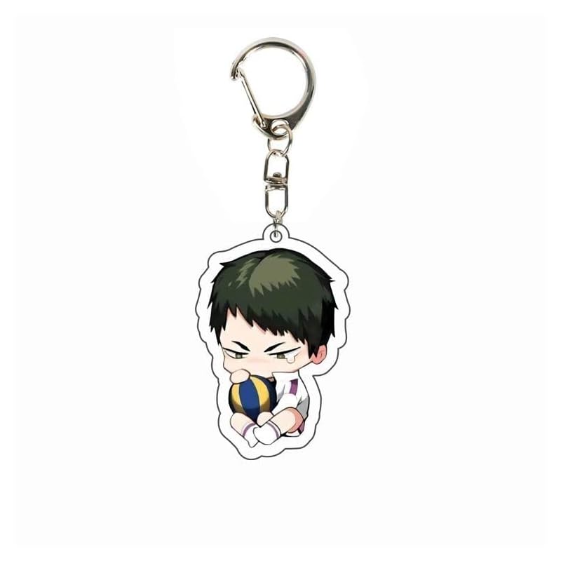 [KGZLGH] haikyuu keychain 11 pieces set Shoyo Hinata, Tobio Kageyama, Solitary Polishing, Teiro Kuroo, Takashi Sugawara, Torataro Tsukishima, Kyoji
