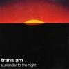 CD TRANS AM Surrender To The NIGHT TKCB71090 TOKUMA JAPAN 1997 Japan ObiRock Gebraucht
