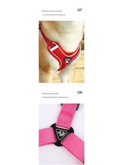 Harnais Gilet Respirant Réglable & Laisse pour Chiens de Petite à Moyenne Taille - Sans Rembourrage, Sans Étranglement, Idéal pour les Shiba Inus & Bouledogues Français
