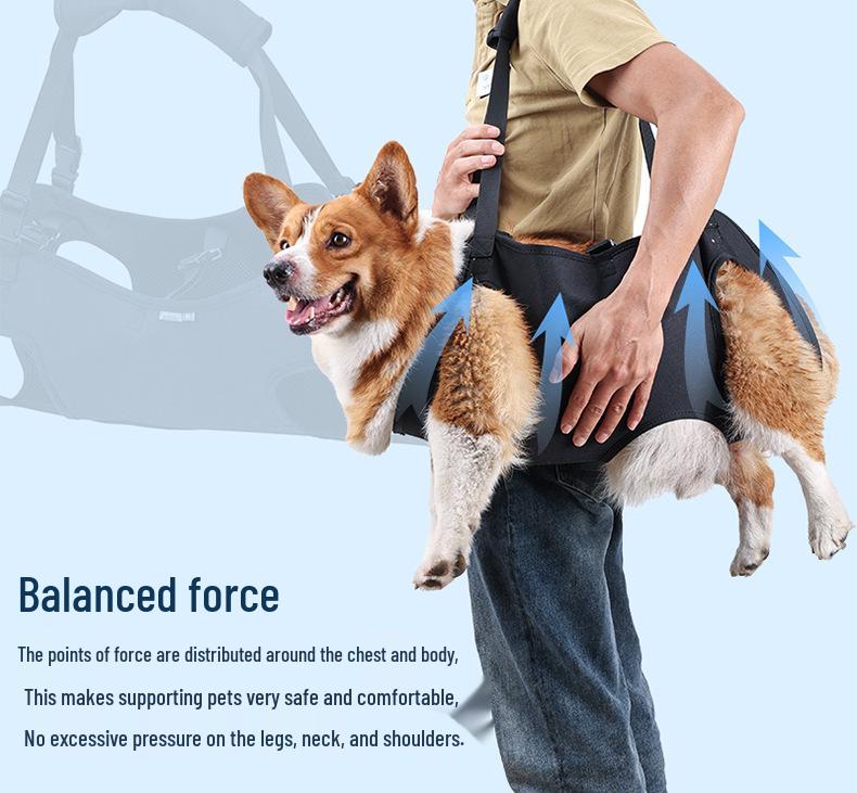 Pet Mobility Support Belt for Elderly or Disabled Cats and Dogs