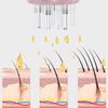 Six Needles Scalp Applicator Liquid Comb Hair Roots Medicine Comb Hair For Hair Growth Serum Oil Nourish Guiding Massager