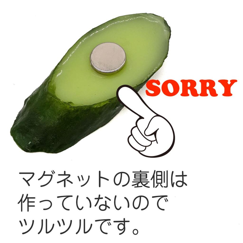 Food Sample Magnet Cucumber Slices Look Like You Want To Eat Them 362M - - -
