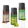 Carno Calm Essential Oil Combo Pack | Pack of 3 | USDA Approved, Pure Cinnamon Bark Oil, Peppermint Oil, Bergamot Oil, 10ml Each for Aromatherapy