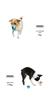 Tuff Tape Ball Dog Dog Dog Dog Dog Stress Lack of Lifelike [Official LIFELIKE] Toy, Chewing, Throwing, Toy, Toy, Toy, Toy, Ball, Relief, Exercise,