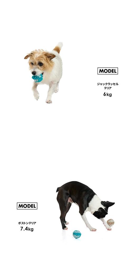 Tuff Tape Ball Dog Dog Dog Dog Dog Stress Lack of Lifelike [Official LIFELIKE] Toy, Chewing, Throwing, Toy, Toy, Toy, Toy, Ball, Relief, Exercise,