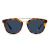 Men's Round Acetate Sunglasses PLD2113SX