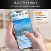 ray-out Nintendo Switch / Switch OLED Model Glass Screen Protector Blue Light Cut High Gloss Protective Film with Installation Kit