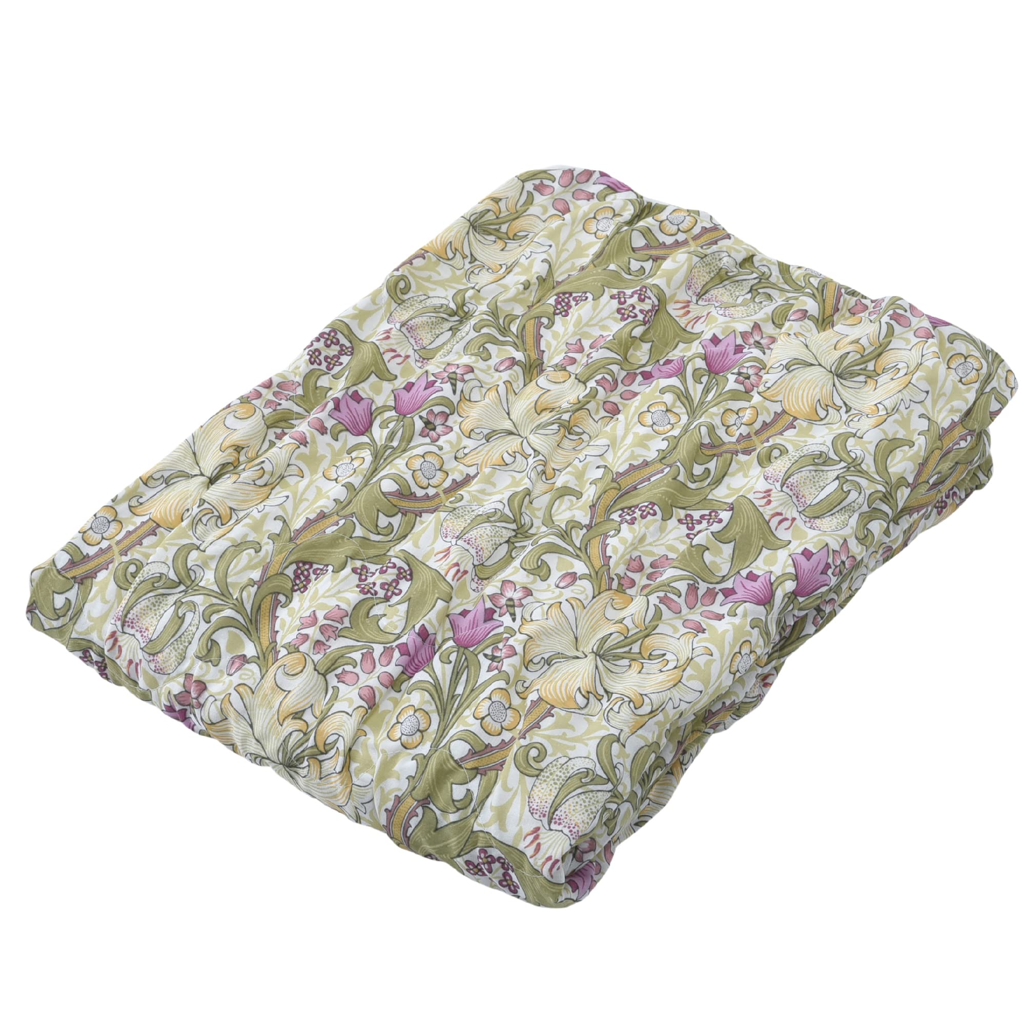 

Nishikawa Morris Gallery Fluffy Gauze Golden Lily FR03103001 Blanket, Single, Washable, 100% Cotton, Soft, Green, зелений