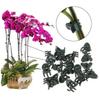 50 Stück wiederverwendbare Pflanzen-Fix-Clips, Orchideen-förmige Garten-Pflanzen-Clips, Garten-Rattan-Pflanzzubehör
