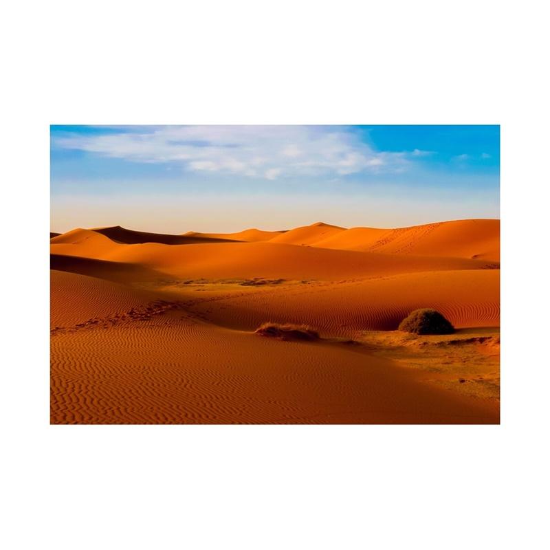 Desert Series Photography Background Natural Scenery Backdrop Photo Backdrop Studio Supplies Props Home Decor