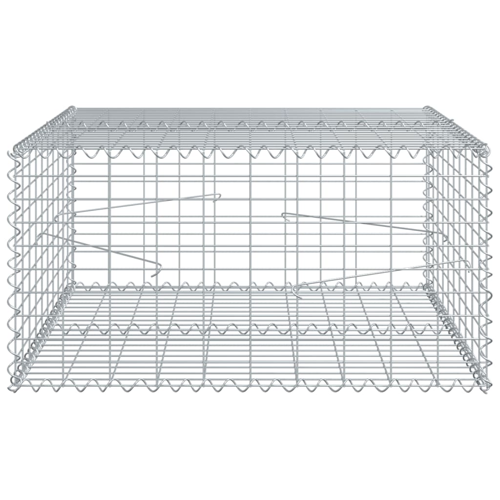 Gabion with Lid 100x100x50 Cm Galvanized Iron