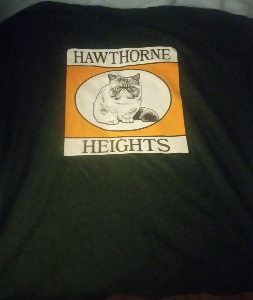 Cat Victory Records Hawthorne Heights Shirt Black Unisex S-5XL ND1600 Unisex T-Shirt