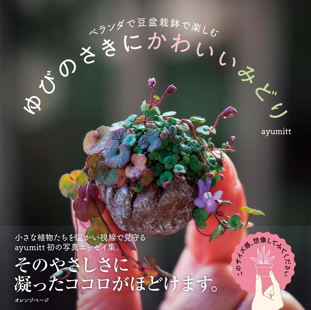 Enjoying a miniature bonsai pot on the Cute greenery at the tip of your finger balcony