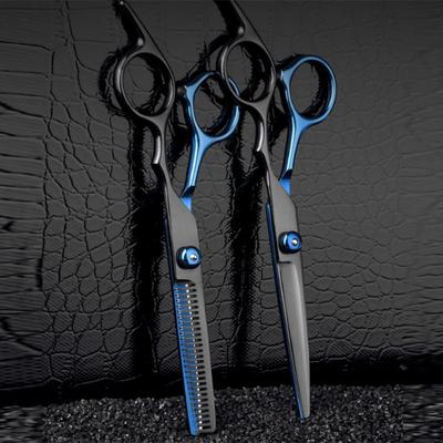 Hair Scissors 6.5 Professional Hairdressing Scissors Thinning Scissor Set Hair Cutting Scissors