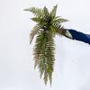 Tropical Plants Artificial Persian Leaf Artificial Boston Fern Plants  Balcony Decoration