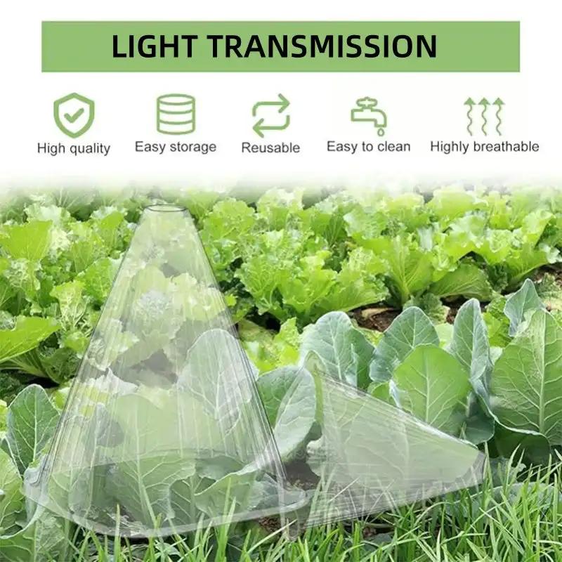 30 uds. Caja de Crecimiento Carpa de Plantación Cuadrada Reutilizable Cubierta de Reloj de Planta Para Proteger las Plantas de Pájaros, Heladas y Caracoles