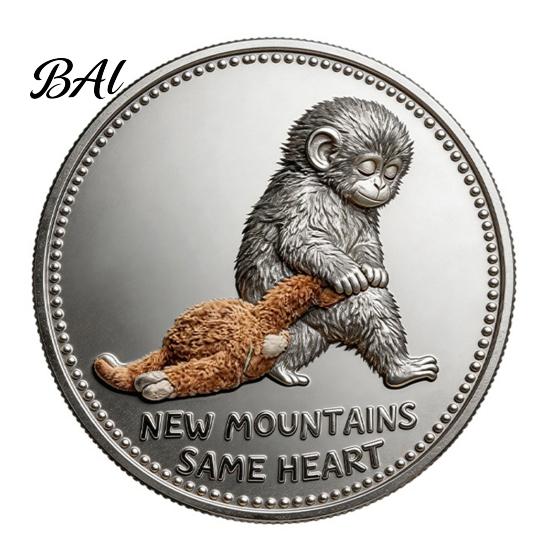 Encouragement Token Emotional Support Coin Inspirational Monkey Challenge Pocket Double?Sided Collectible for Friends Family Motivation Keepsake