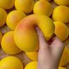 Flash Taro Bread Squeeze Toy Kneading Food Play Fidget Toy  Kids Tricky Doll