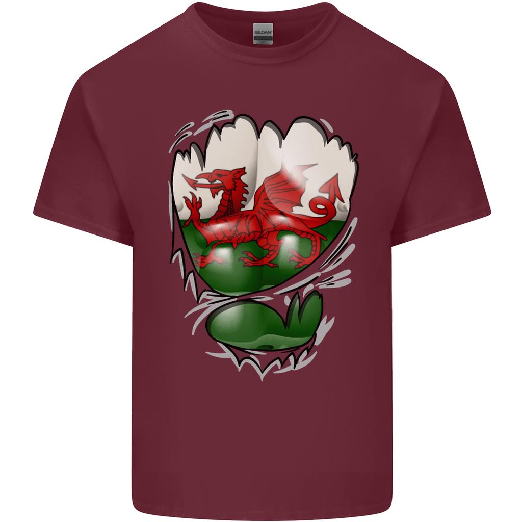 Gym The Welsh Flag Ripped Muscles Wales Unisexs Light Cotton TShirt