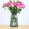 Pequeno Vaso de Vidro Criativo para Flores Frescas ou Secas - Ornamento para Mesa de Casa