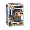 Funko Pop! | Harry Potter | Harry Potter