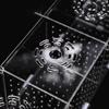 Fishes Fish Isolation Fish Tank Incubator Fish Breeding Box Incubator Fish Separation Box Hatchery