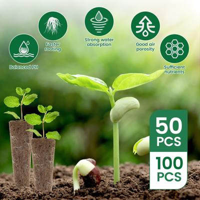 50/100 Pièces Éponges de Croissance pour Graines Gousses Hydroponiques Kit avec Étiquettes de Plantes Racine de Remplacement Jardin Nutriments pour Plantes Croissance Plantation