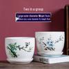 Large Ceramic Flower Pot with Saucer for Indoor or Balcony Plants